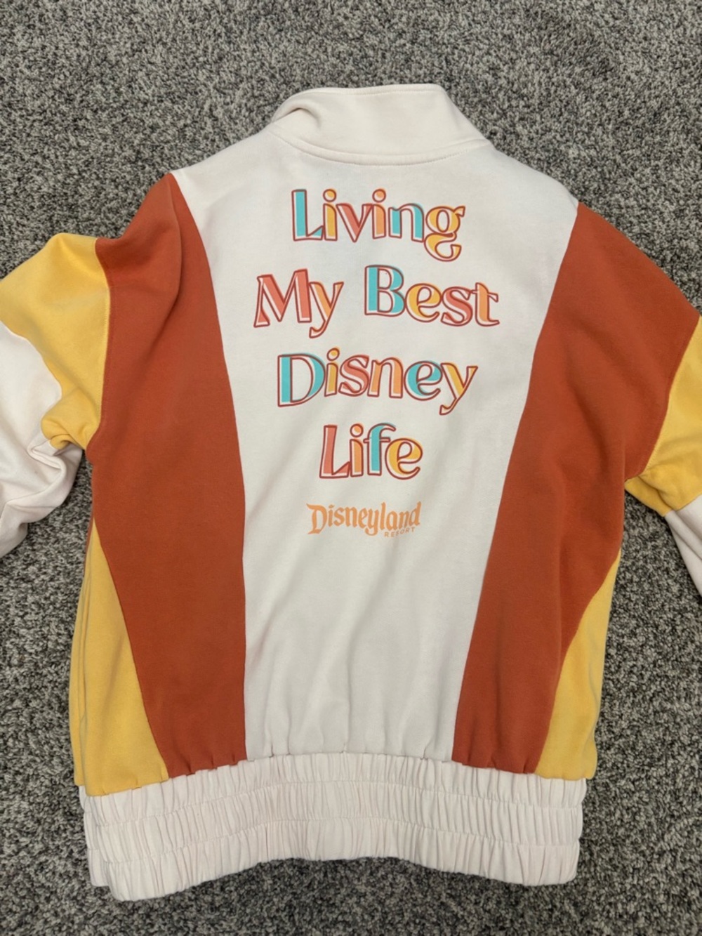 Living my best Disney life. Colorblock Quarter-Zip Sweatshirt size XL - Picture 2 of 3